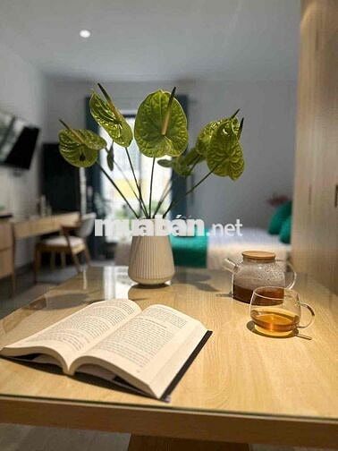 ✅🏡CHDV bancon Nguyễn Trãi gần ĐH Mở _ HSU, phố đi hộ Bến Thành Quận 1