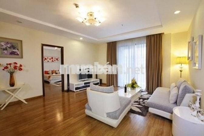 Cho thuê Căn hộ Botanica Pre Hồng Hà  P2 Tân Bình, 46m2 1PN, 11tr/Th