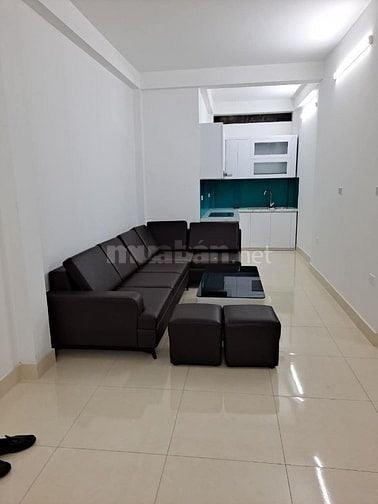 Cần bán nhà ngõ Phương Mai, DD giá 17.8 tỷ, 42m2x4T, ô tô đỗ 