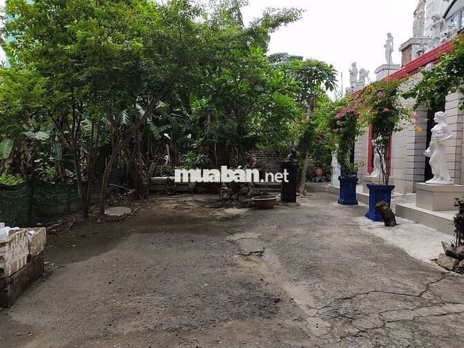 Đất SHR 235m² (12*20) đường B, Dự án Bình Dân - Hiệp Bình Chánh