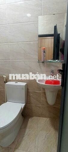 Hạ giá bán lỗ căn nhà 1T1L  hẻm xe hơi 6m, Bình Hưng 69m2 / 2ty2 (TL)
