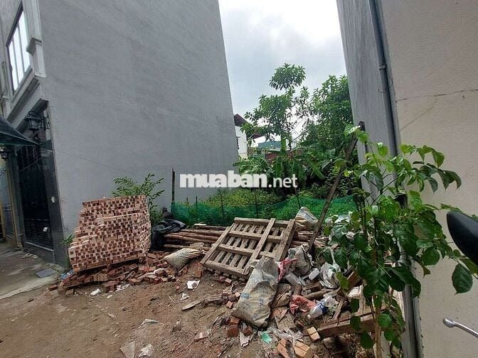 CHÍNH CHỦ BÁN CÂY MÍT SIÊU NGON – TẶNG KÈM LÔ ĐẤT 57M² TẠI THẠCH BÀN