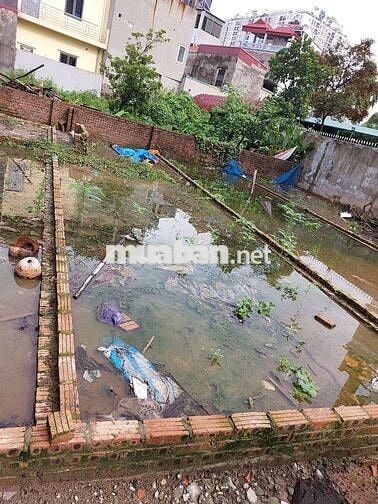 CHÍNH CHỦ BÁN CÂY MÍT SIÊU NGON – TẶNG KÈM LÔ ĐẤT 57M² TẠI THẠCH BÀN