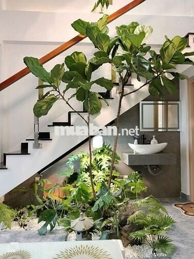 Bán nhà phố sân vườn,hẻm xe tải,5 tầng,thiết kế đẹp,tinh tế sang trọng
