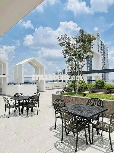 🔥 BÁN CĂN HỘ 3PN ASIANA CAPELLA – 82M² – GIÁ CHỈ 4,6 TỶ (102%) 🔥