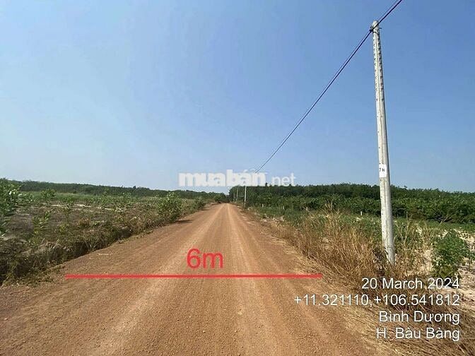Bán tài sản đất 7230m² tại TP. Hồ Chí Minh mới giá hấp dẫn chỉ hơn 5tỷ