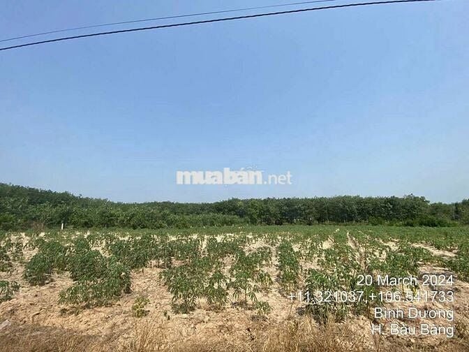 Bán tài sản đất 7230m² tại TP. Hồ Chí Minh mới giá hấp dẫn chỉ hơn 5tỷ