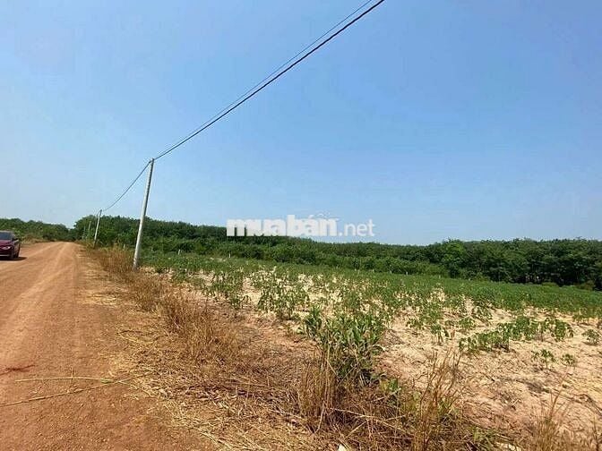 Bán tài sản đất 7230m² tại TP. Hồ Chí Minh mới giá hấp dẫn chỉ hơn 5tỷ
