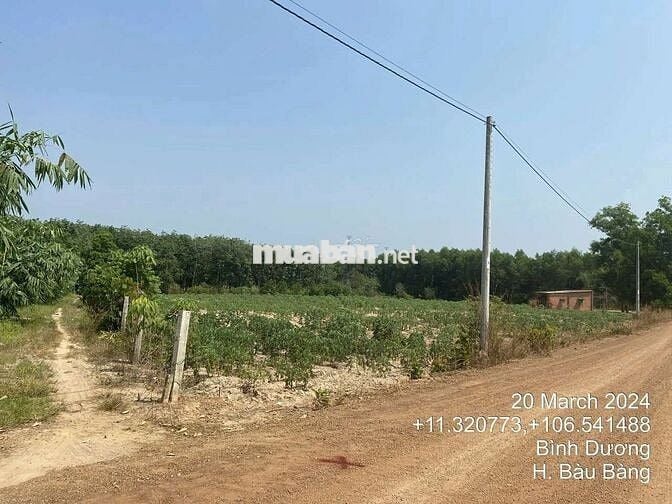 Bán tài sản đất 7230m² tại TP. Hồ Chí Minh mới giá hấp dẫn chỉ hơn 5tỷ