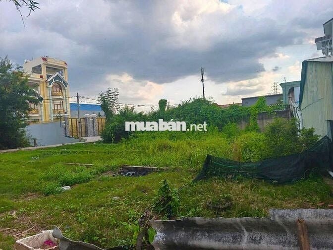 Đất SHR 90m² Bùi Thanh Khiết, Bình Chánh