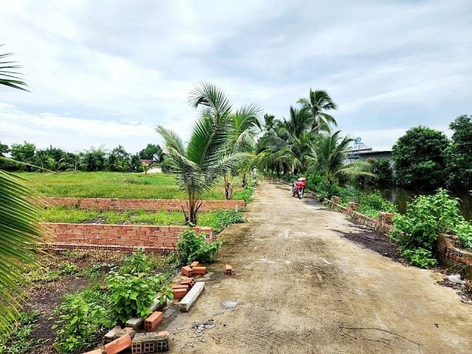 Bán nhanh lô đất vườn DT 330m2 x. An Tịnh, Trảng Bàng, SHR, chỉ 800tr
