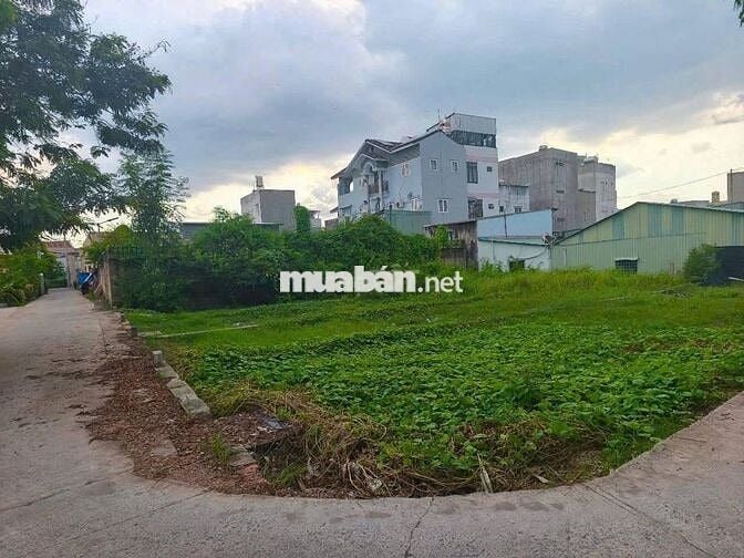 Đất SHR 90m² Bùi Thanh Khiết, Bình Chánh
