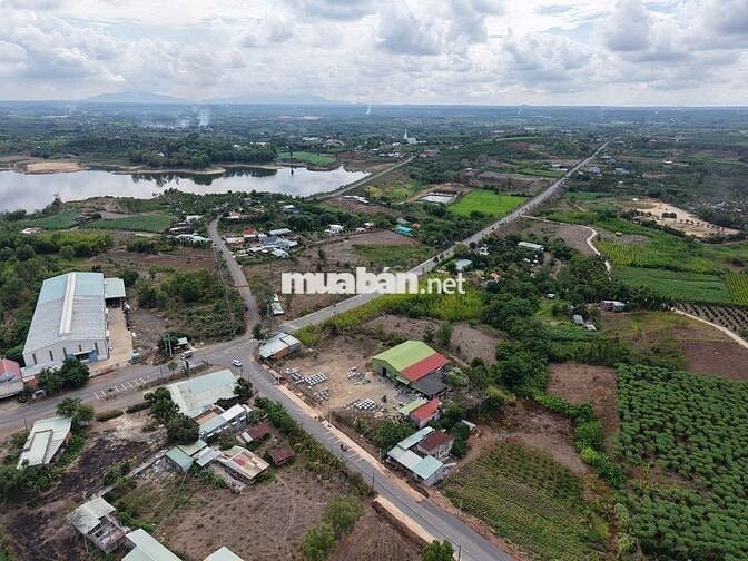 THE HILL HOMESTAY – Suối Rao, Châu Đức, BRVT