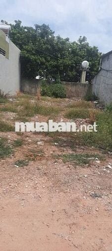 CHỦ GỬI Bán Đất 100m² - Thái Mỹ, Củ Chi – Sổ Riêng, Giá NGỘP 550 Triệu