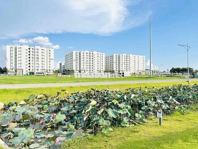 Shophouse 1 trệt 1 lững 2 lầu kdc nam long 2 kế hồ cảnh quan