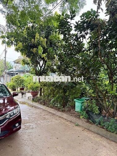🌟 TĐC PHONG NAM- HOÀ CHÂU- ĐÀ NẴNG-