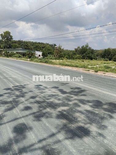 Đất khu công nghiệp mặt tiền kinh doanh