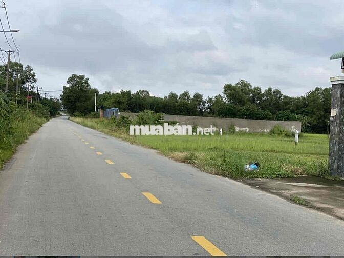 450TRIỆU/141M2, 100% THỔ CƯ, MT NHỰA LÊ MINH NHỰT, XÃ TÂN AN HỘI, SHR