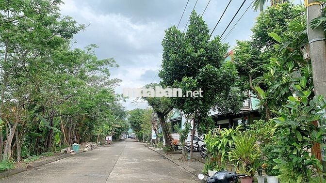 🌟 TĐC PHONG NAM- HOÀ CHÂU- ĐÀ NẴNG-