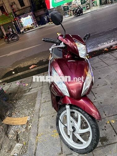 vison cần bán