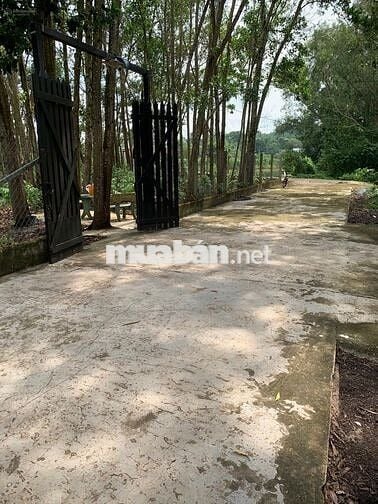 Bán lô đất 2 MT đường Võ Văn Điều, cạnh đường cao tốc (1579 m2) 1 tỷ 7