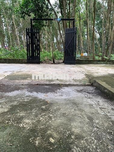 Bán lô đất 2 MT đường Võ Văn Điều, cạnh đường cao tốc (1579 m2) 1 tỷ 7