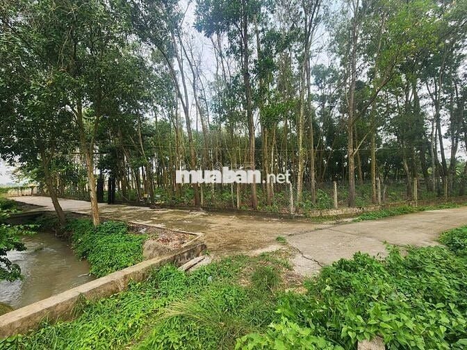 Bán lô đất 2 MT đường Võ Văn Điều, cạnh đường cao tốc (1579 m2) 1 tỷ 7