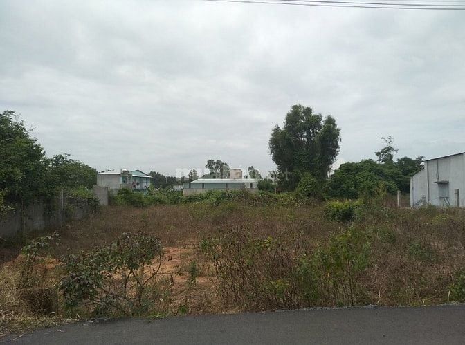 1 LÔ DUY NHẤT 600M2 RẼ NHẤT BÀU BÀNG HIỆN TẠI 580 TRIỆU