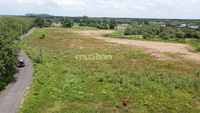 Đất Xuyên Mộc - Lưng tựa suối, mặt giáp đường rộng 10m