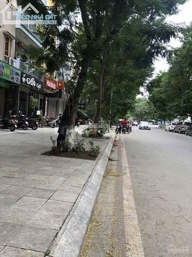 VIP - MẶT PHỐ VẠN PHÚC - VẠN BẢO - 55M - 5 TẦNG - ĐƯỜNG HÈ 20M 