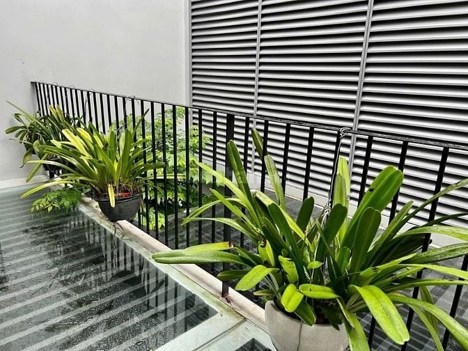 Nhà trong mơ MT Tân Phú quá rẻ, Gấppppp, Khách ko mua là e mua nha, 25