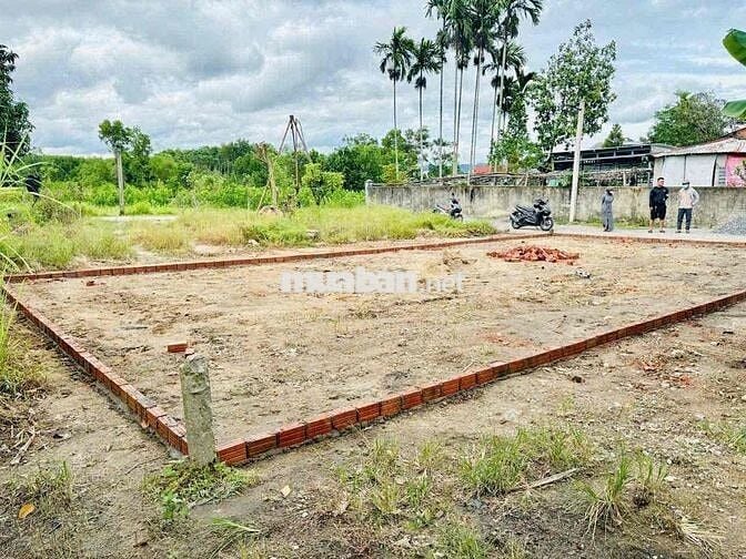 biệt thự mi ni nhà vườn diện tích 120m2 ngang 8m giá 7xx triệu
