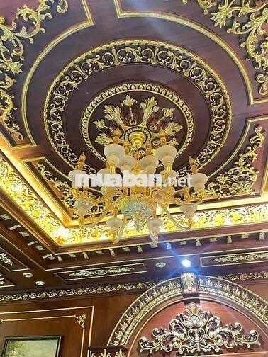 BÁN BIỆT THỰ  FULL GÕ ĐỎ NHẬP KHẨU PHƯỜNG 7 GÒ VẤP