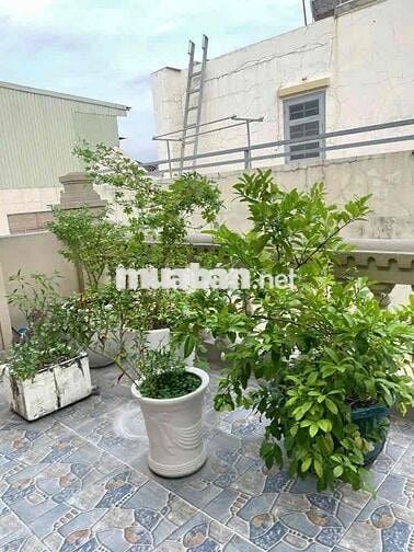 BÁN BIỆT THỰ  FULL GÕ ĐỎ NHẬP KHẨU PHƯỜNG 7 GÒ VẤP