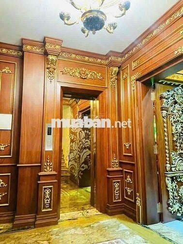 BÁN BIỆT THỰ  FULL GÕ ĐỎ NHẬP KHẨU PHƯỜNG 7 GÒ VẤP