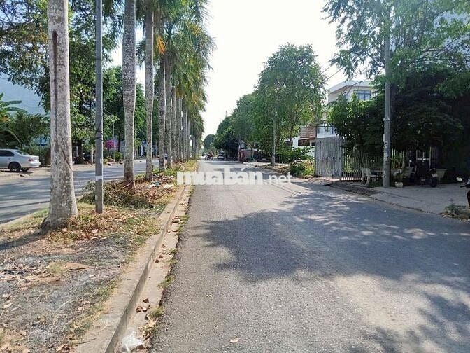Bán đất cho mẹ đi lấy chồng,mặt tiền đường Cầu Chợ Đệm,tt Tân Túc 100m