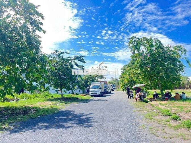 Bán đất cho mẹ đi lấy chồng,mặt tiền đường Cầu Chợ Đệm,tt Tân Túc 100m