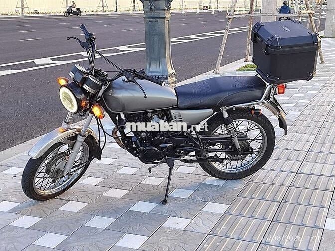 Wolf 125