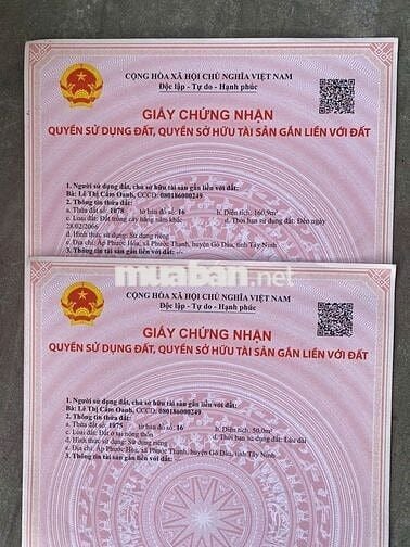 ẤT THỔ CƯ GIÁ TỐT GẦN KCN PHƯỚC ĐÔNG 5X42 - 50 TC 499 TRIỆU