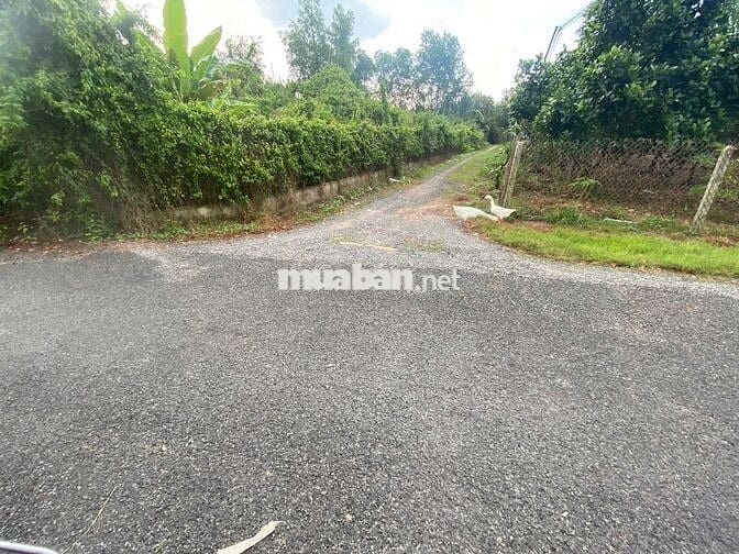 5x31m – Full thổ cư ĐƯỜNG OTO  PHƯỚC THẠNH