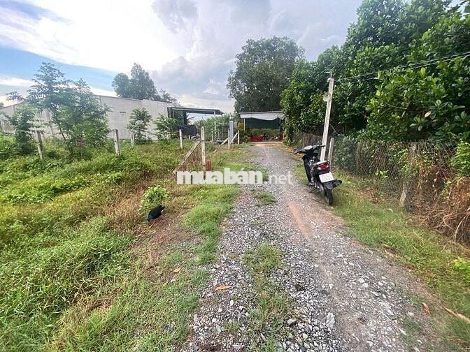 5x31m – Full thổ cư ĐƯỜNG OTO  PHƯỚC THẠNH