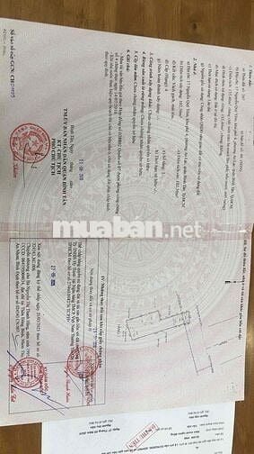 🌺🌺Cần bán MTKD đường Nguyễn quý yêm - An lạc . 135m . Giá  : 14,5 tỷ