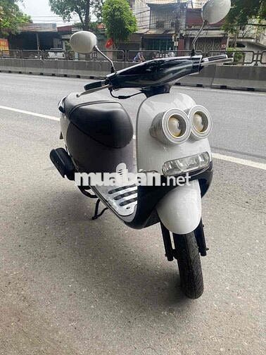 Xe scoopy 50 đời cao zin đẹp như hình
