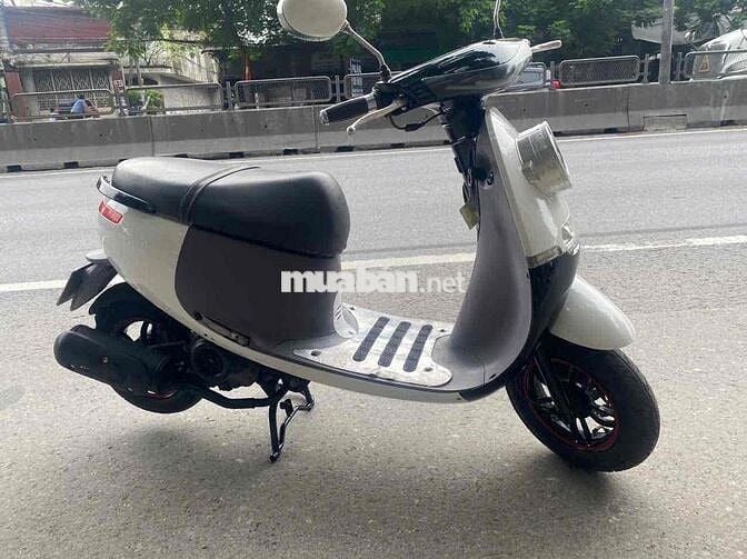 Xe scoopy 50 đời cao zin đẹp như hình