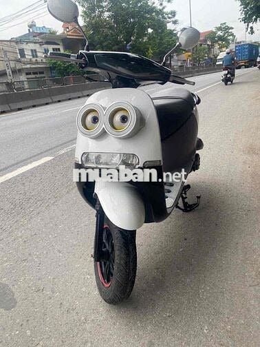 Xe scoopy 50 đời cao zin đẹp như hình