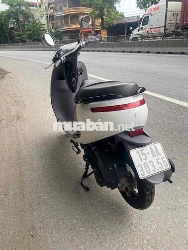 Xe scoopy 50 đời cao zin đẹp như hình