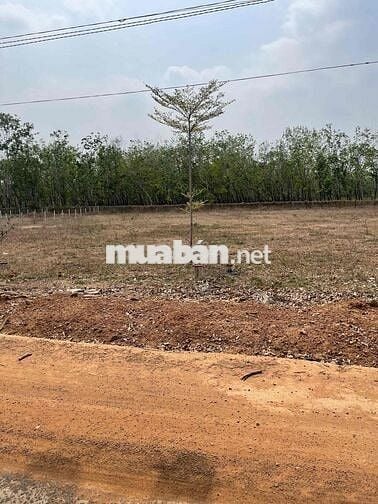 đất lộc ninh chính chủ cần bán .