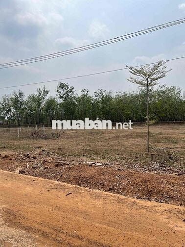 đất lộc ninh chính chủ cần bán .