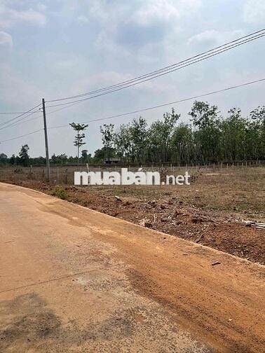 đất lộc ninh chính chủ cần bán .