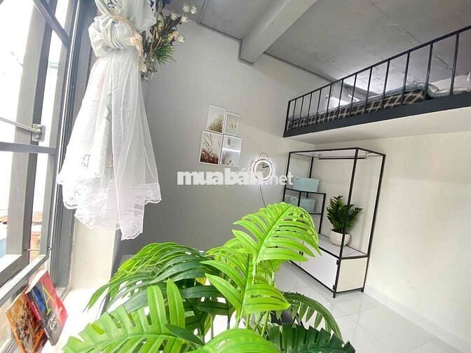 Duplex - Rộng Rãi - Thoáng Mát - CMT8 - Hoàng Văn Thụ - Ngã 4 Bảy Hiền